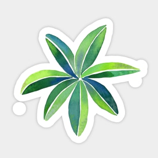 Tropical Umbrella Plant Modern Watercolor Illustration Sticker